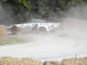 22-rallycars-3.JPG